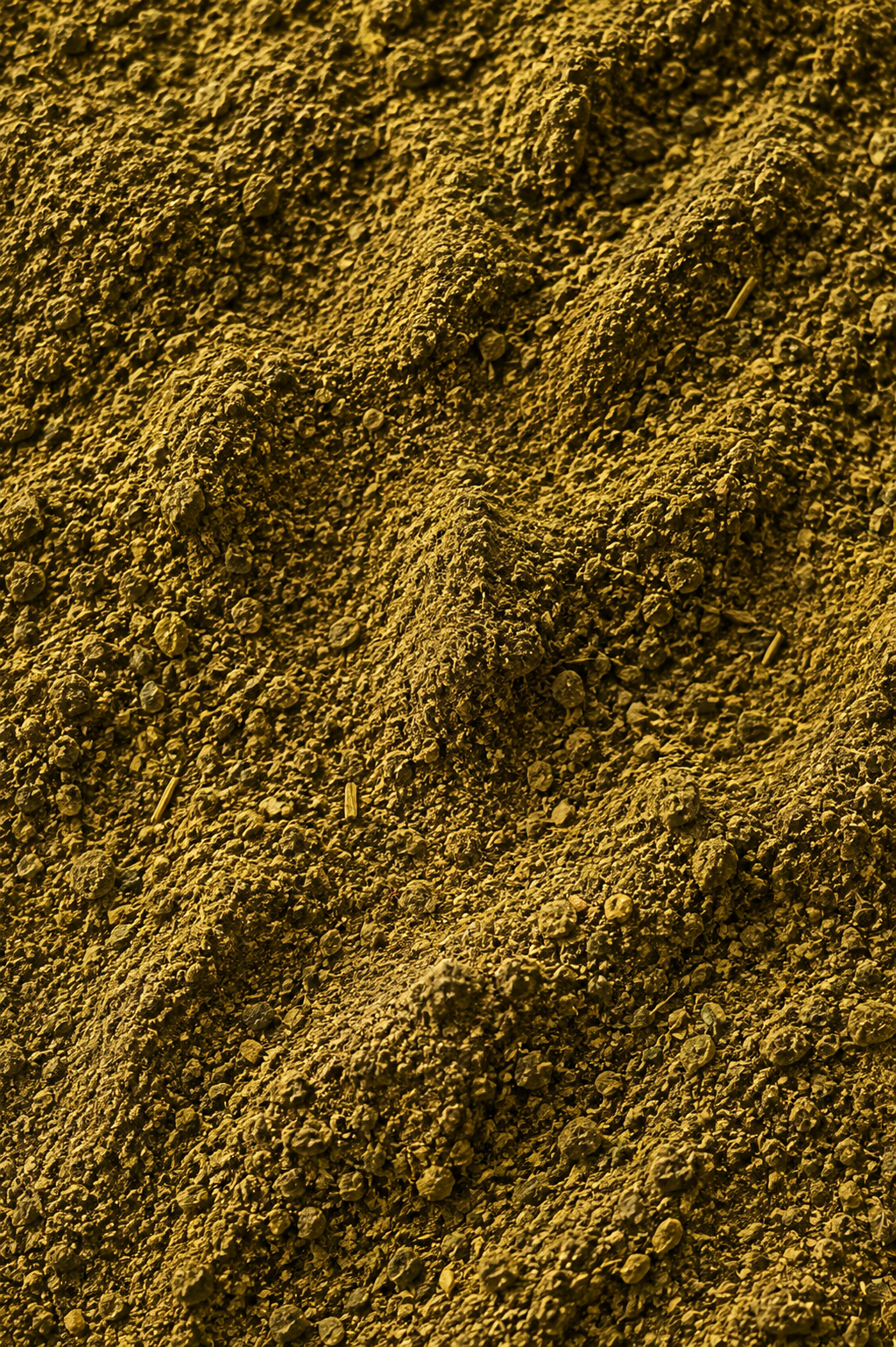 Moroccan Tbrima