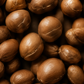 Souss Argan Oil