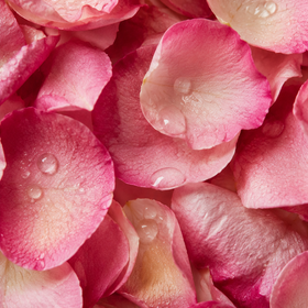 Moroccan Rose Water